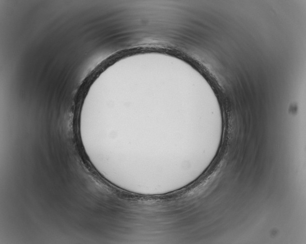 X0000116621066201001081227