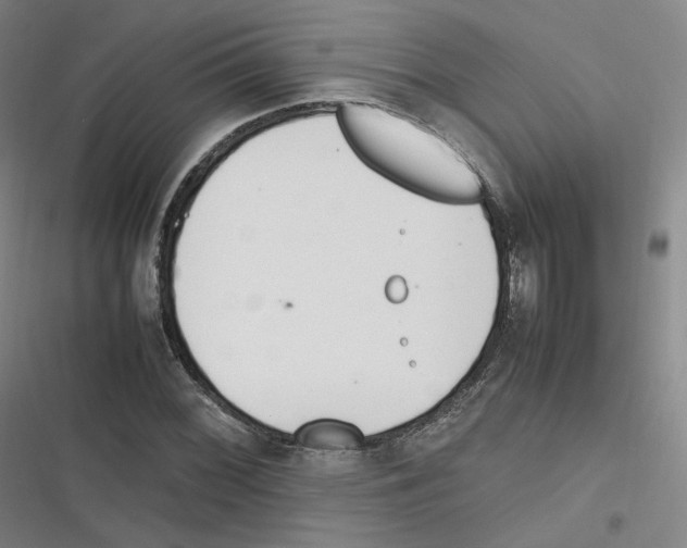 X0000116621068201001081227