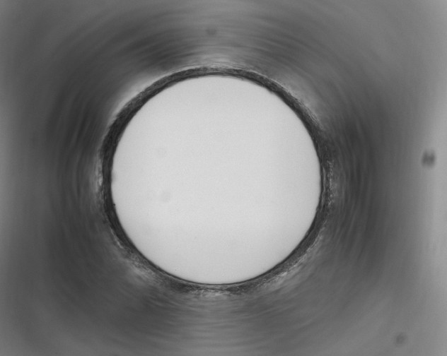 X0000116621070201001081227