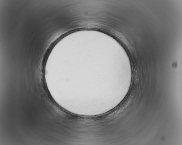 X0000116621071201001081227