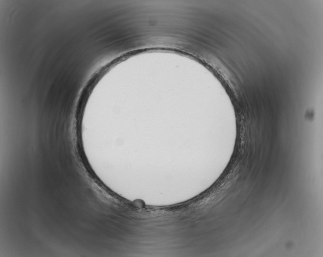 X0000116621072201001081227