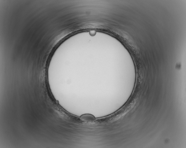 X0000116621073201001081227