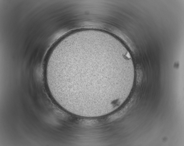 X0000116621074201001081227