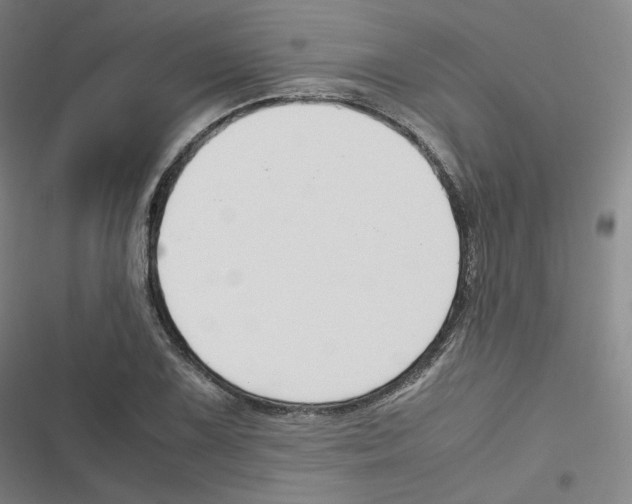 X0000116621075201001081227