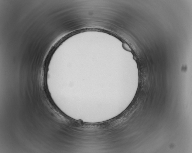 X0000116621076201001081227