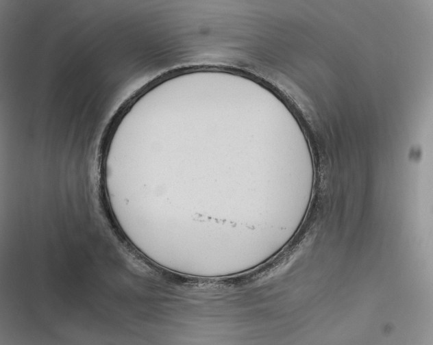 X0000116621077201001081227