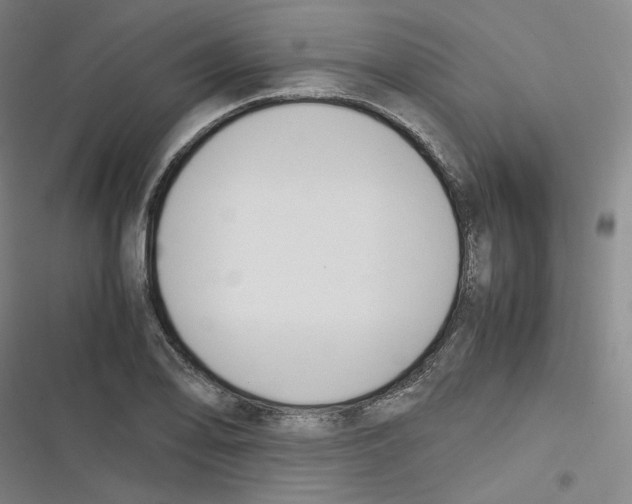 X0000116621078201001081227