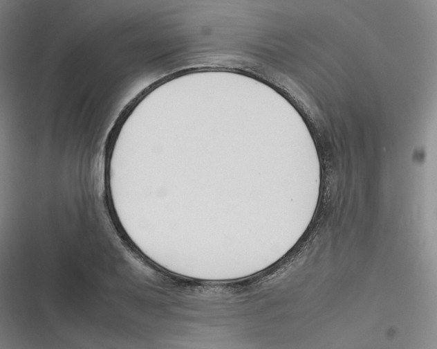 X0000116621079201001081227