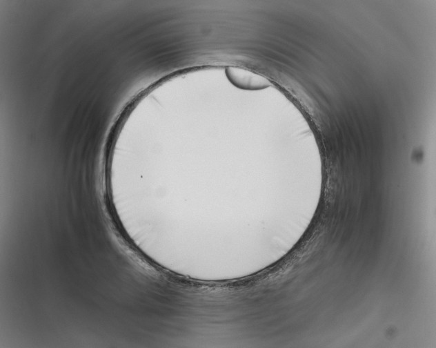 X0000116621080201001081227