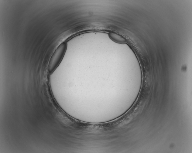 X0000116621081201001081227