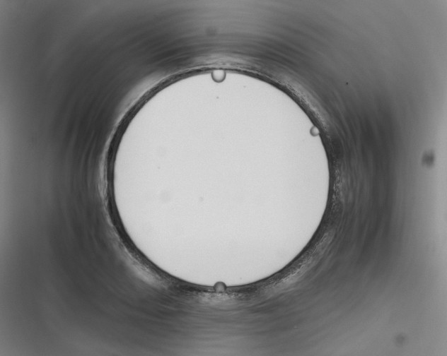 X0000116621082201001081227