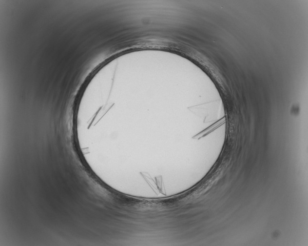 X0000116621083201001081227