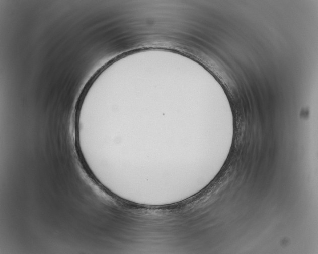 X0000116621084201001081227