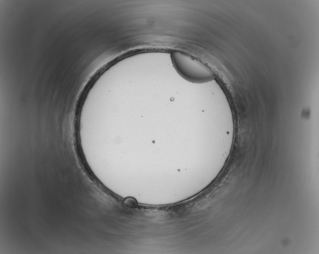 X0000116621085201001081227