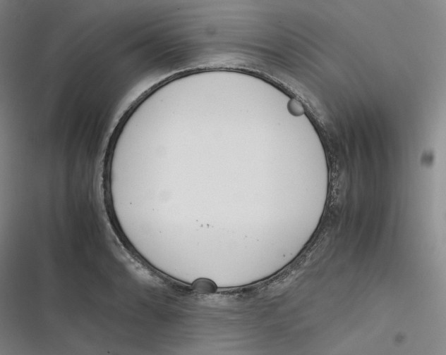 X0000116621086201001081226