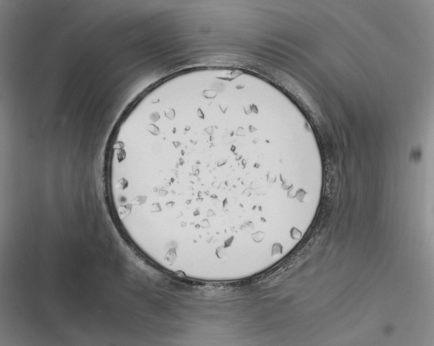 X0000116621087201001081226