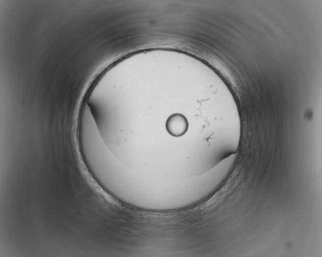 X0000116621088201001081226