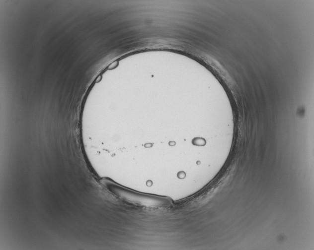 X0000116621089201001081226