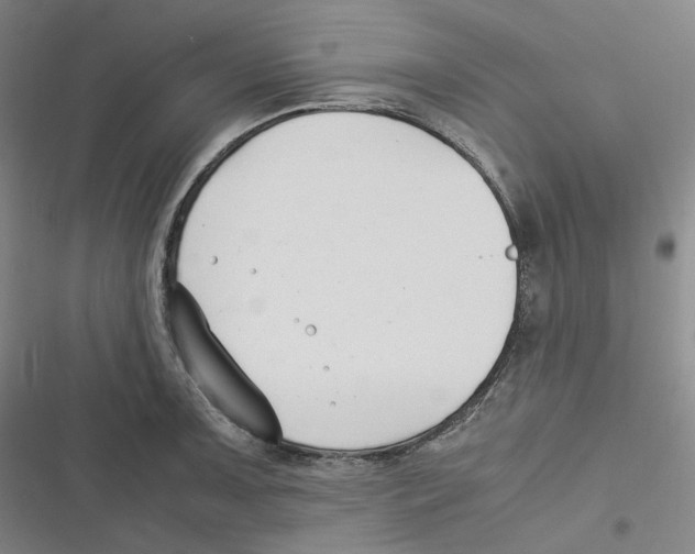 X0000116621091201001081226