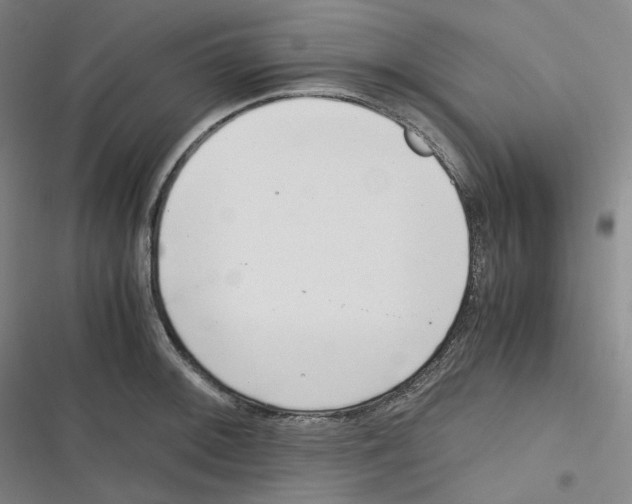 X0000116621092201001081226