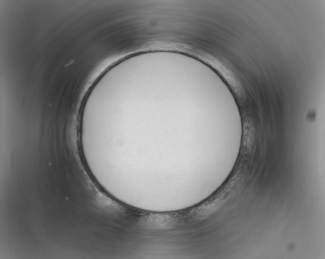 X0000116621094201001081226