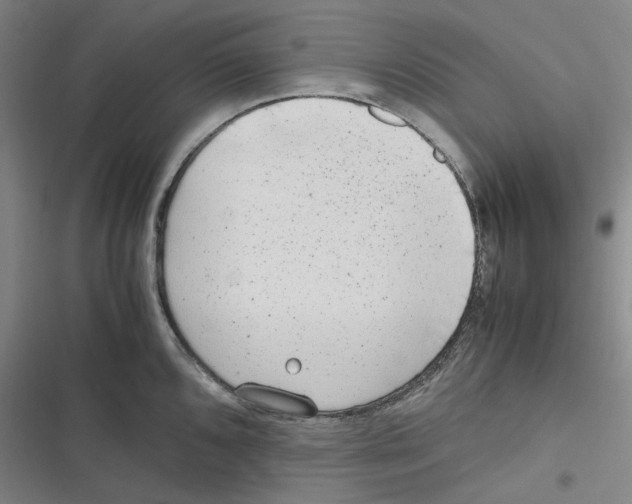 X0000116621096201001081226