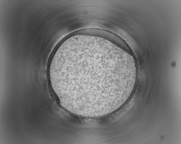 X0000116621097201001081226