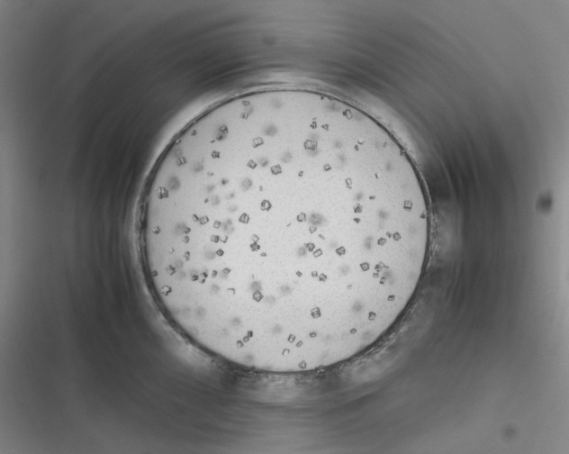 X0000116621098201001081226