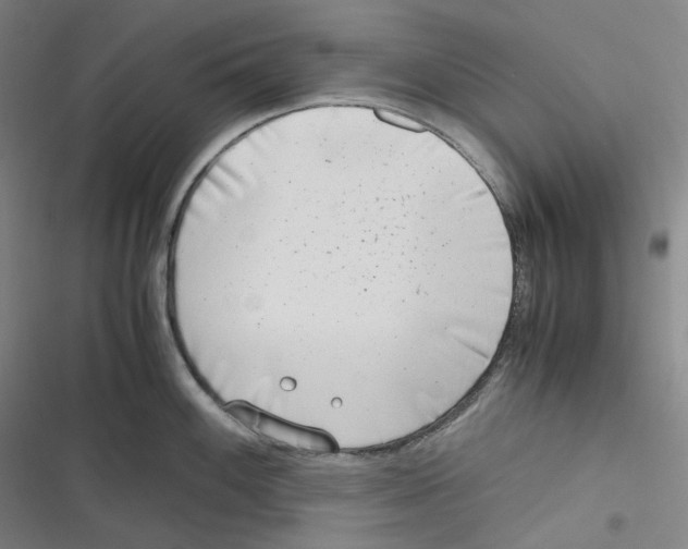 X0000116621100201001081226