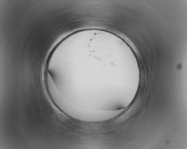 X0000116621101201001081226