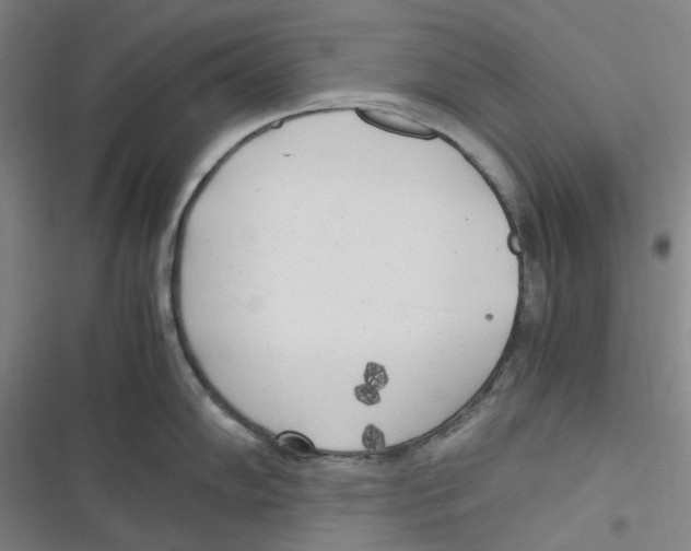 X0000116621102201001081226