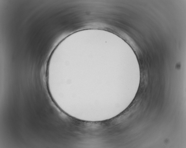 X0000116621103201001081226