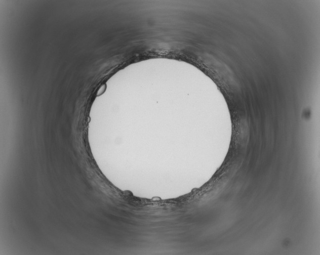 X0000116621105201001081226