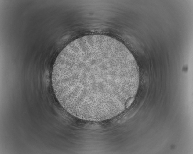 X0000116621106201001081226