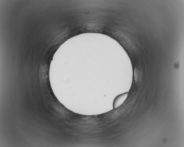 X0000116621107201001081226