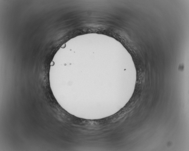 X0000116621109201001081226