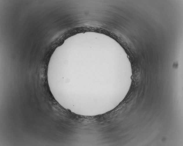 X0000116621110201001081226