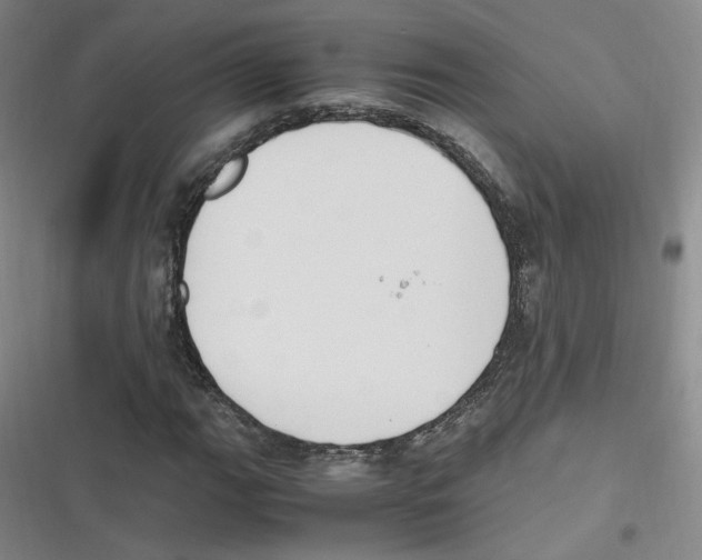 X0000116621111201001081226