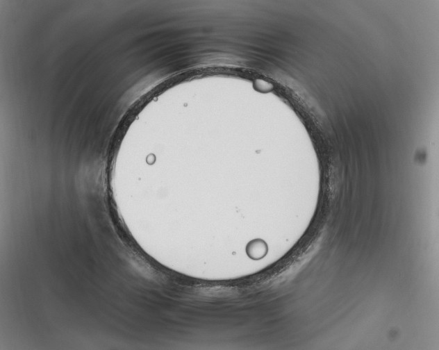 X0000116621113201001081226