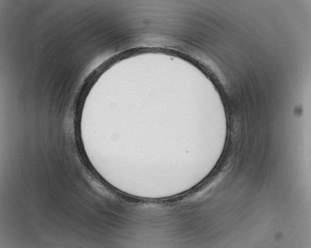 X0000116621114201001081226