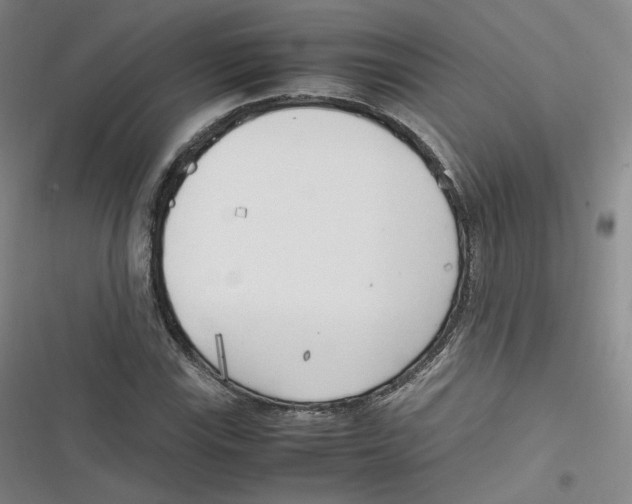 X0000116621115201001081226