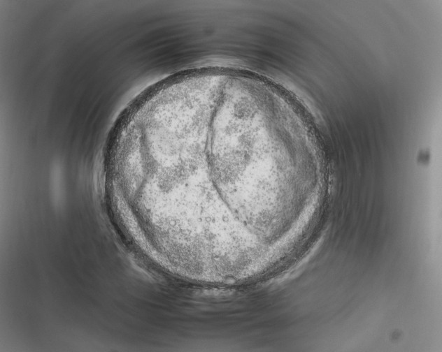 X0000116621117201001081226