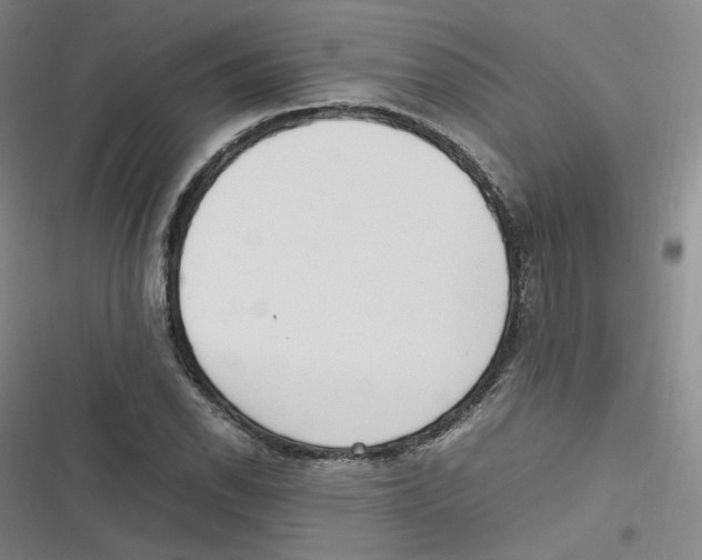 X0000116621118201001081226