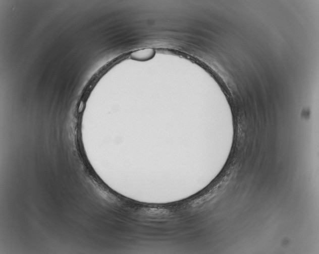 X0000116621119201001081226