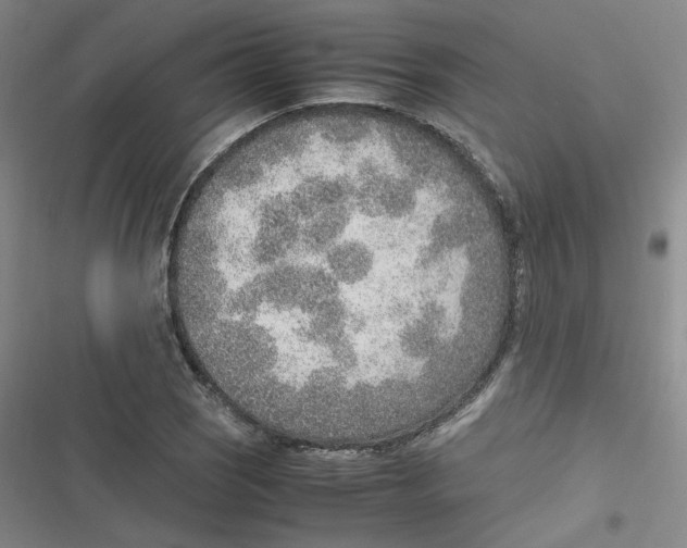 X0000116621121201001081226