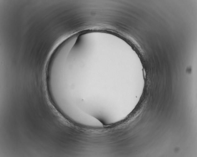 X0000116621122201001081226