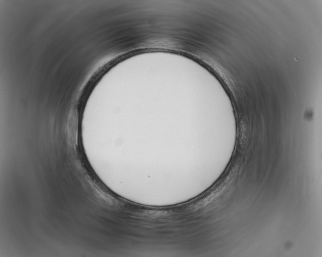 X0000116621123201001081226