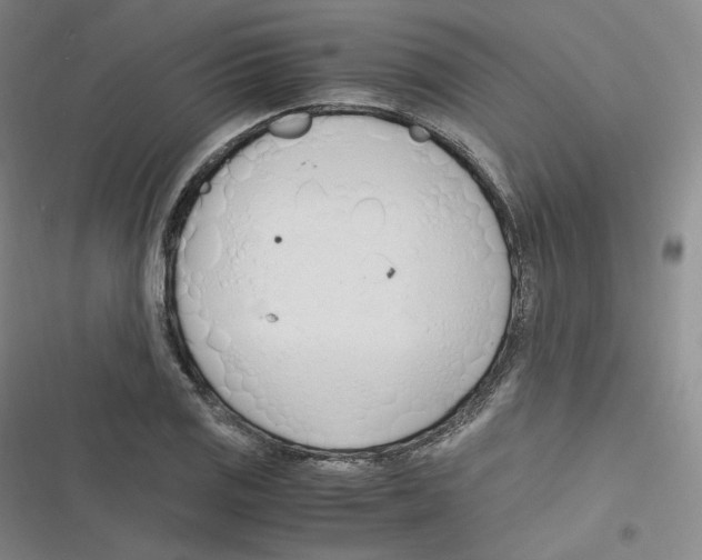 X0000116621125201001081226