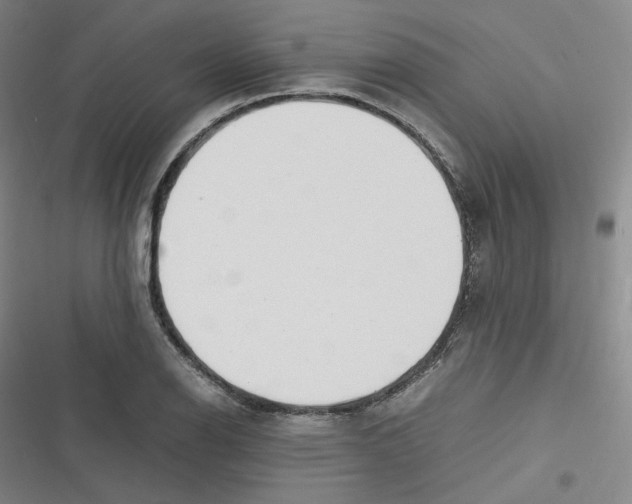 X0000116621126201001081226