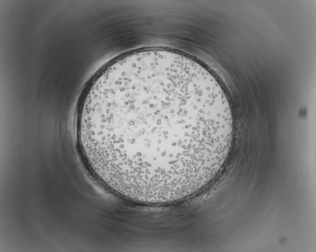 X0000116621127201001081226